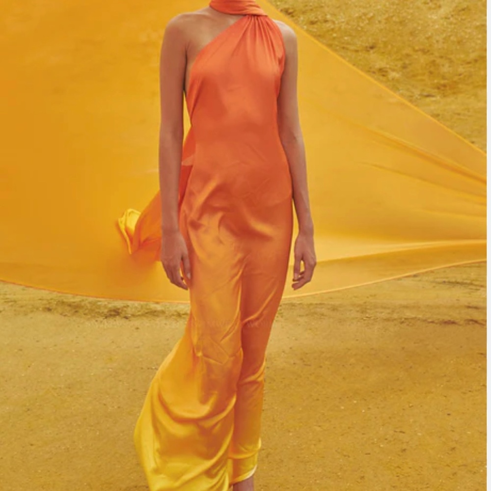 Baobab ari dress in ombre